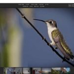 Polarr Photo Editor ダウンロード
