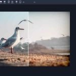 Topaz Gigapixel AI 4.4.3 無料ダウンロード