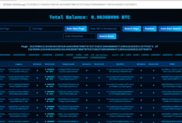 ビットコイン秘密鍵データベースツール｜アドレス生成・残高チェック対応
